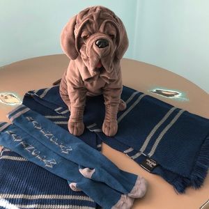 Harry Potter Fans !!!